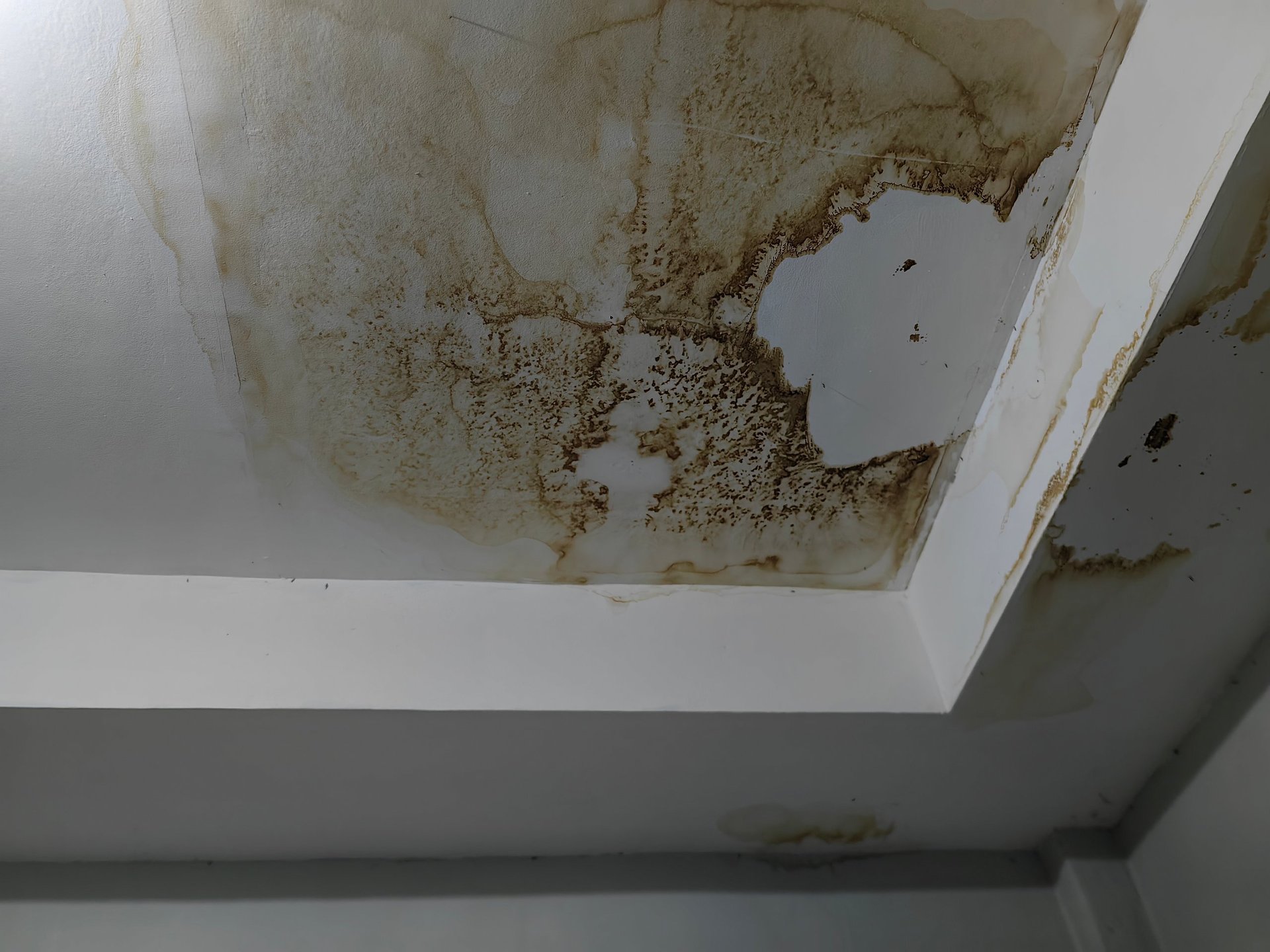 Rotten and moldy ceiling of a house caused by humidity and moisture problems