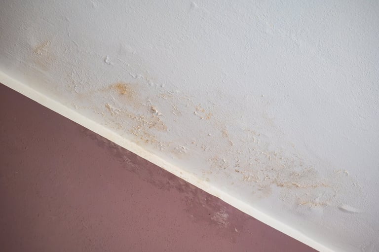 Water leak stains, bubbling plaster, and flaking paint on a home interior ceiling indicating dampness and mold risk